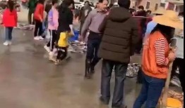 海丰爆料最新情况视频,视频揭露惊人内幕